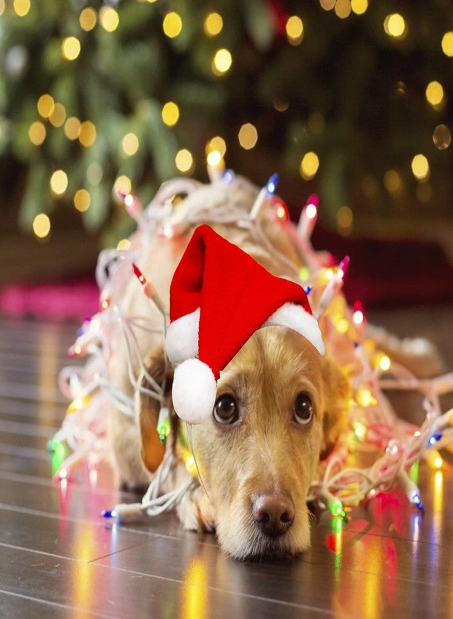 Dancepanda Mini Dog Santa Hat for Dogs Christmas Hat,Small Cat Santa Hats(Red) - Image 4